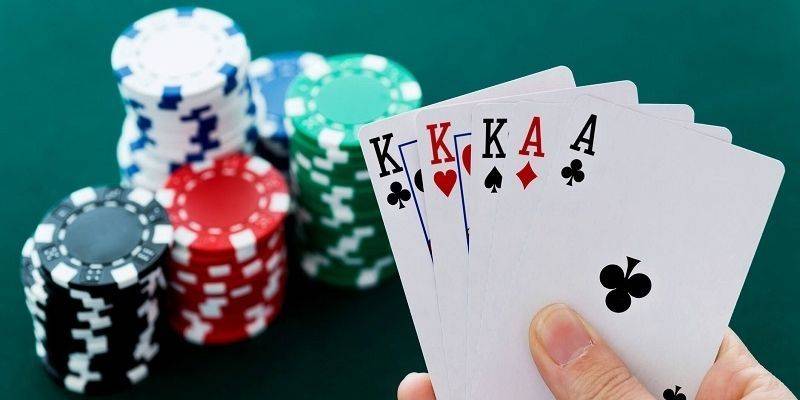 Bí Quyết Chưng Bài Catte - Thắng Lớn, Rinh Quà Về Nhà Chiến thuật chưng bài khi chơi với cao thủ